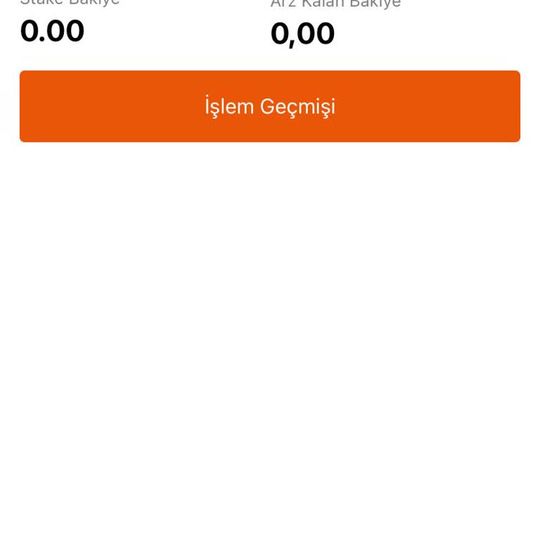 Bitci Borsasında Yaşanan İşlem Sorunları