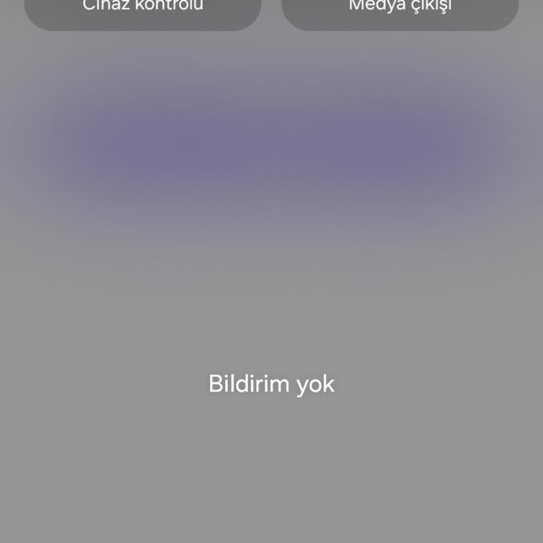 Samsung S22 Ultra İle Şebeke Kabusu