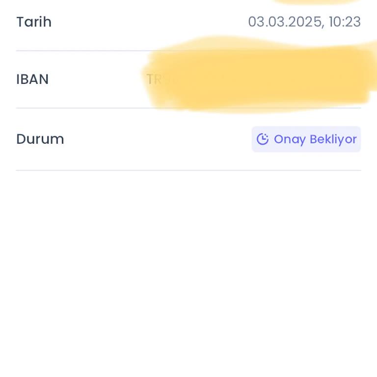 Banka Transferinde Güven Zedeleyici Sorunlar