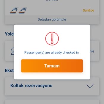 Sunexpress İle Bagaj Kabusu: Tatilde Kayıp Eşya Stresi