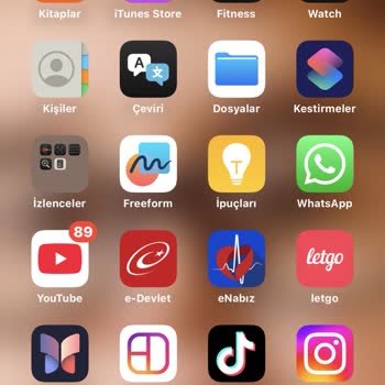 Sipariş Verildi, Kış Bitti: Teslimat Nerede?