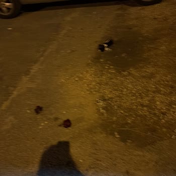 Sipariş Verildi, Kış Bitti: Teslimat Nerede?