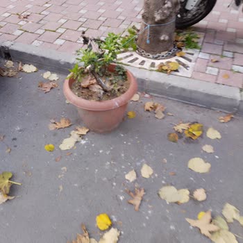 Sokakların Şahsi Otoparka Dönüşmesi