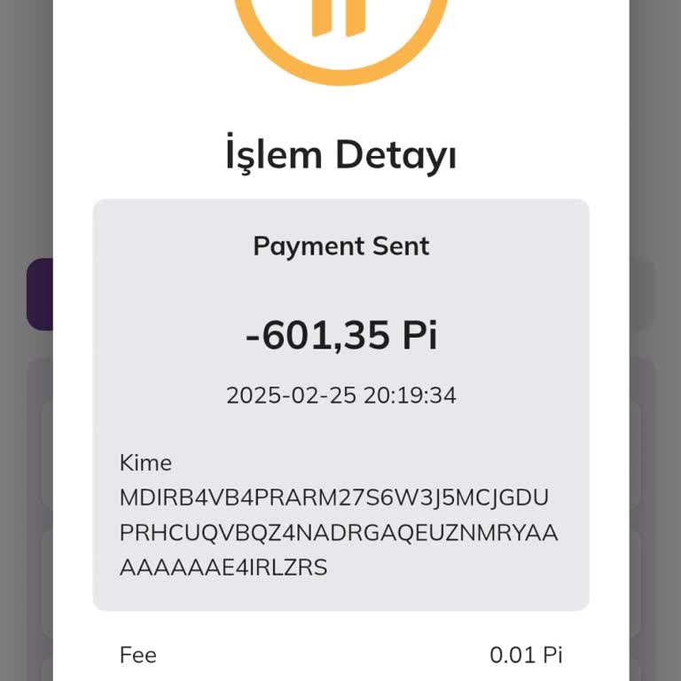 Pi Network Unauthorized Transfer – My Pi Coins Were Stolen
