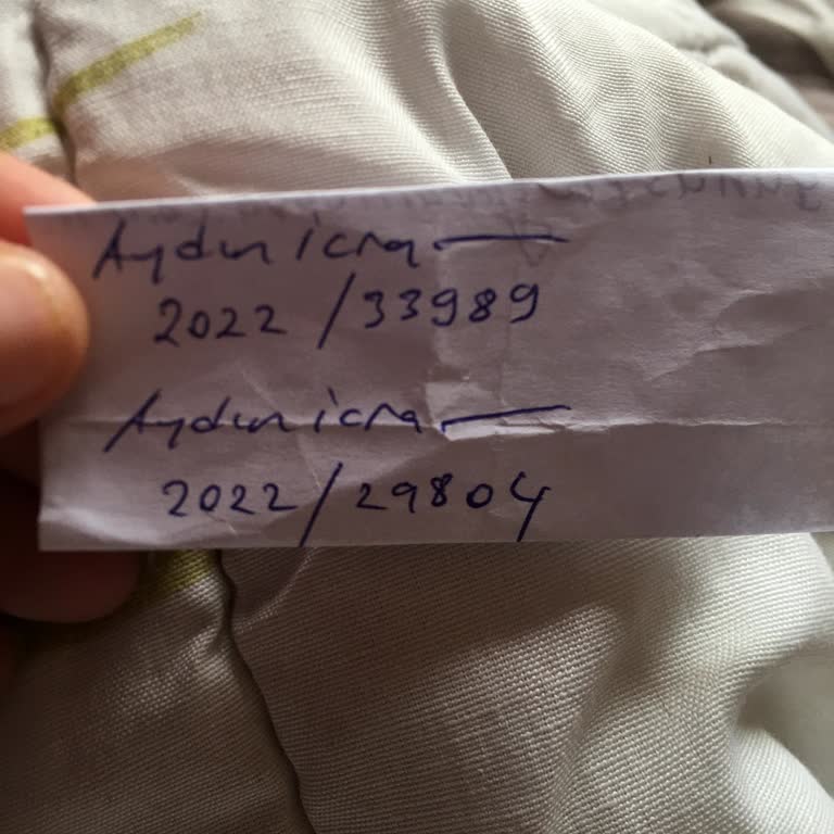 Aydın İcra Dairesi Şikayeti