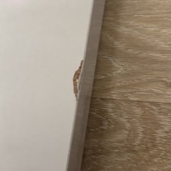 Teslimat Gecikmesi Ve Hasarlı Ürün Sorunu