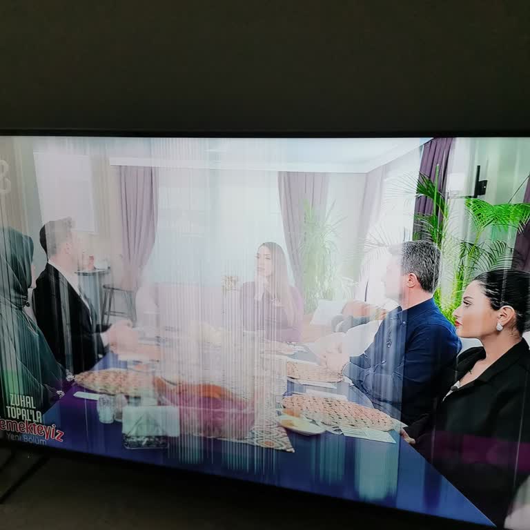 Vestel Did Not Support My 50U9600K Smart TV After Screen Failure