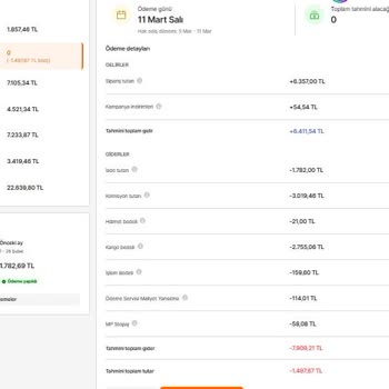Hepsiburada'da Satış Gelirlerimiz Neden Azalıyor?