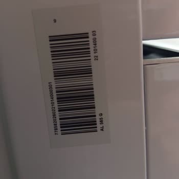 Altus Fırın Sorunu: Servis İlgisizliği Ve Çözüm Eksikliği