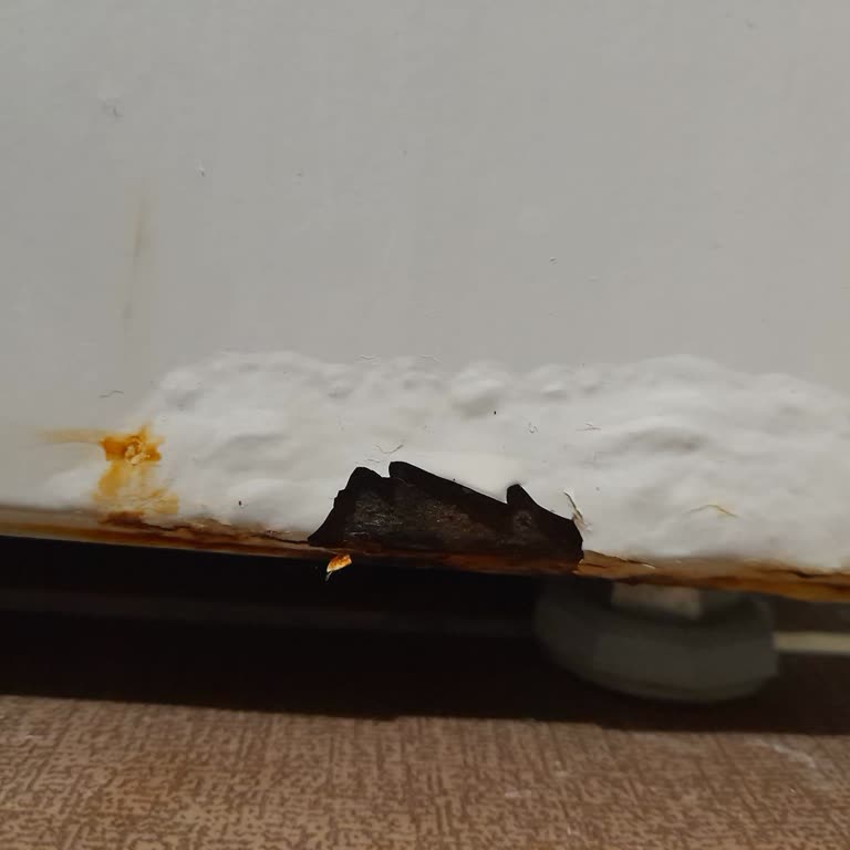 Profilo Çamaşır Makinesi Gövdesinde Paslanma Sorunu