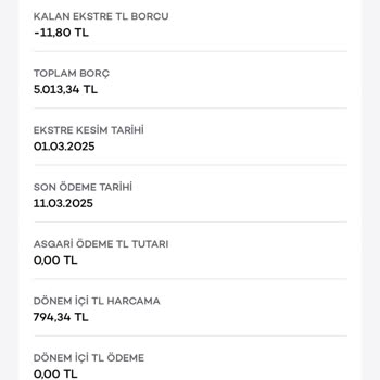 Kart Limitinin Yanlış Hesaplanmasıyla Borç Şoku