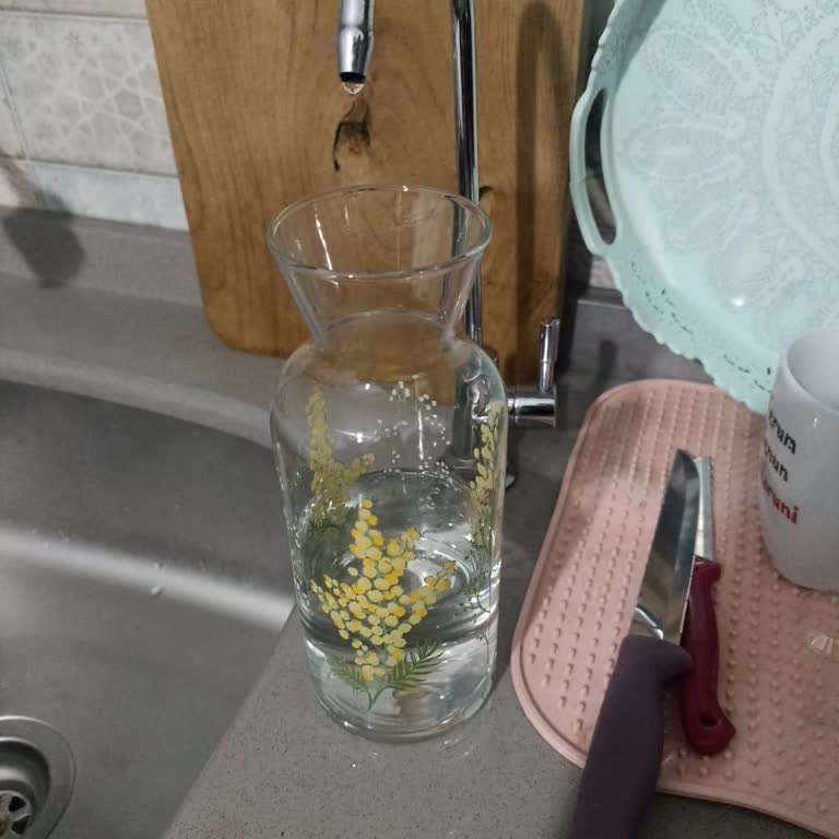 Wess Water Arıtma Cihazında Sorun