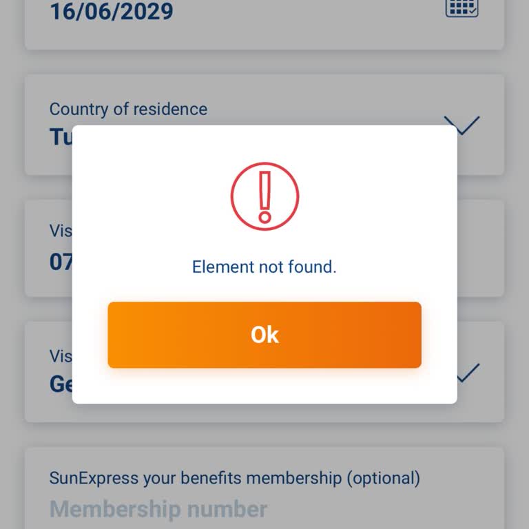 SunExpress Izmir-Berlin Online Check-in nicht möglich, Fehlermeldung erscheint