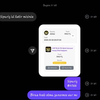 Vadihesap'tan Aldığım Valorant Hesabı Teslim Edilmedi