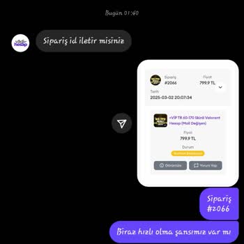 Vadihesap'tan Aldığım Valorant Hesabı Teslim Edilmedi