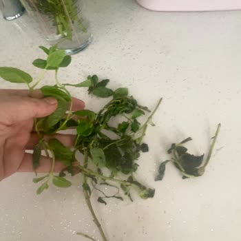 A101 Online'dan Gelen Bozuk Ürünler