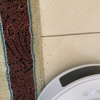 Robot Süpürge Beklentileri Karşılamadı