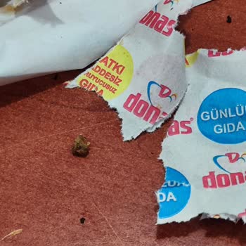 Taşlı Dürüm Ve İlgisiz Müşteri Hizmeti