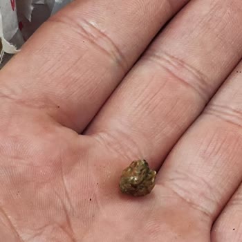 Taşlı Dürüm Ve İlgisiz Müşteri Hizmeti