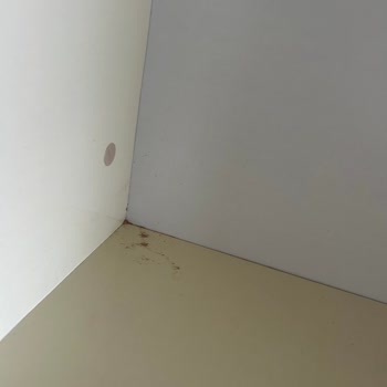 Temizlik Hizmeti Fiyasko: Kırık Eşyalar Ve Ekstra Ücret