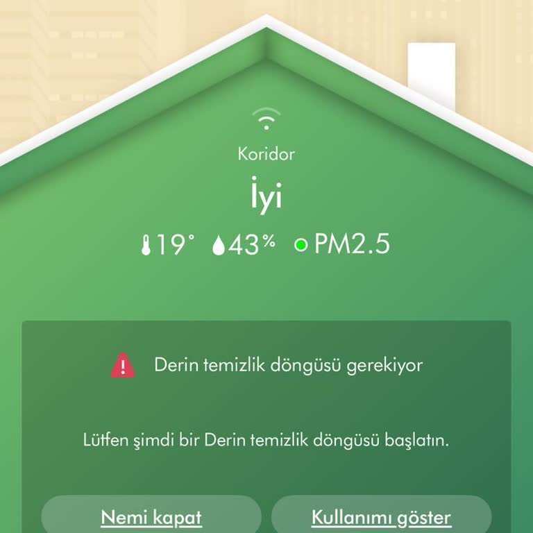 Dyson Ürününde Bitmeyen Derin Temizlik Sorunu Ve Yetersiz Destek