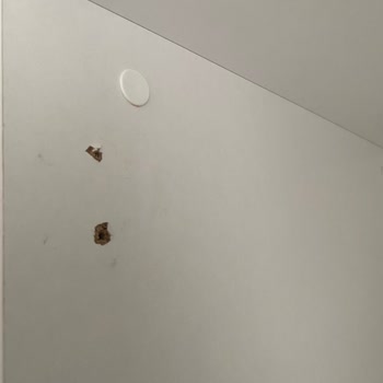 Gardırop Kapaklarındaki Üretim Hataları Ve Montaj Sorunları
