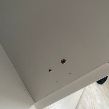 Gardırop Kapaklarındaki Üretim Hataları Ve Montaj Sorunları