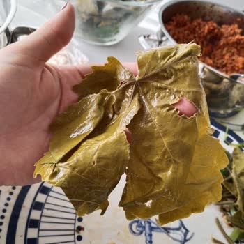 Fatma'nın Bahçesi Instagram'dan Aldığım Yapraklar Hayal Kırıklığı Yarattı