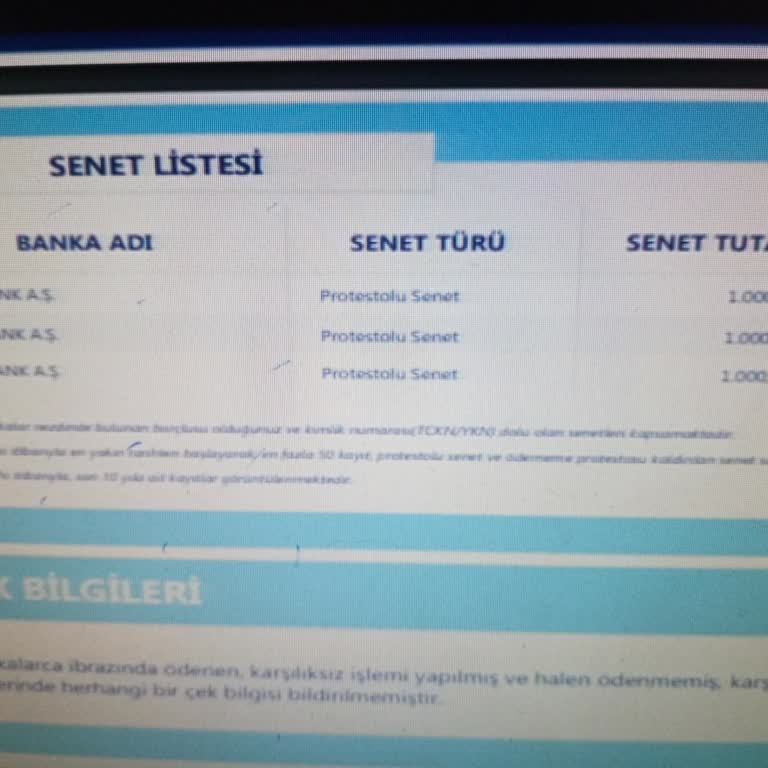 Ödenmiş Senetlerin Sistemde Görünmemesi Sorunu