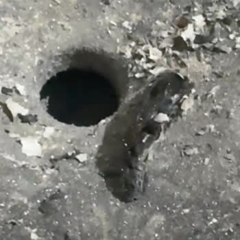 Parliament Sigara Paketlerinden Odun Çıkıyor