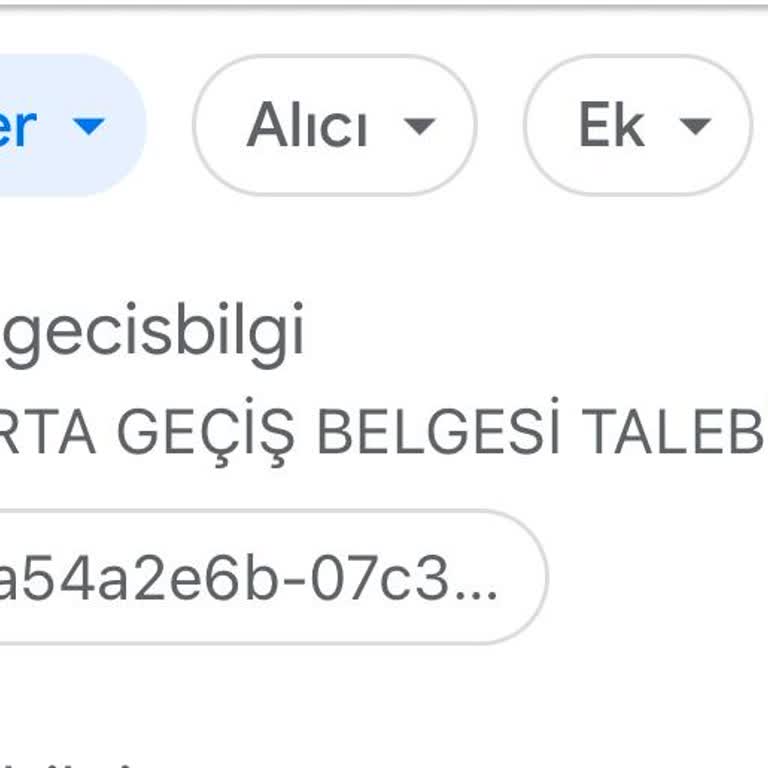 Geri Dönüş Bekleyen Acil Geçiş Belgesi Talebi