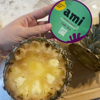 Çürük Ananas Ve İlgisiz Müşteri Hizmetleri