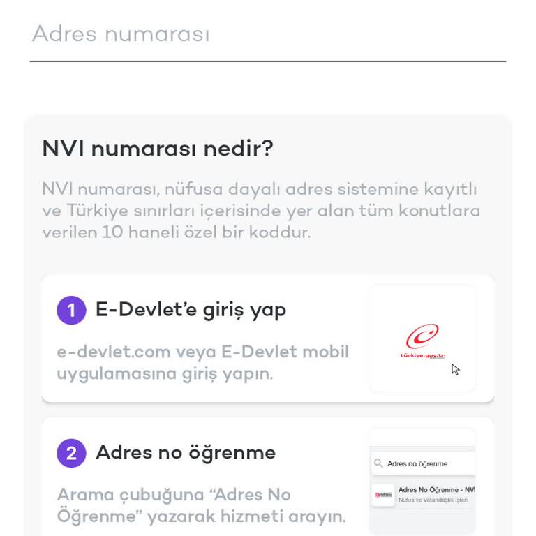 E-Devlet Girişi Sorunu Ve Yaş Sınırlaması