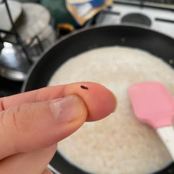 Yulaf Ezmesi Paketinden Çıkan Böcek Şoku