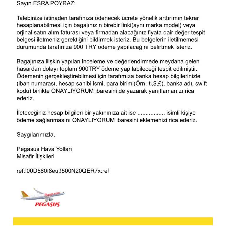 Pegasus'un Valiz Hasarı Ve Yetersiz Tazminat Teklifi