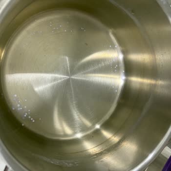 Vestel Bulaşık Makinesi Yıkama Sorunu