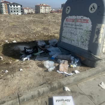 Sokak Temizliği İçin Acil Çözüm Bekliyoruz