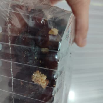 Musko Erciyes Hurmalar Kurtlu Çıktı