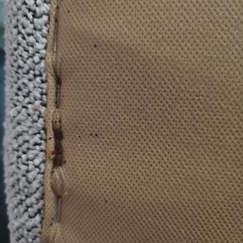 İstikbal Yatak Takımında Tahta Kurusu Sorunu