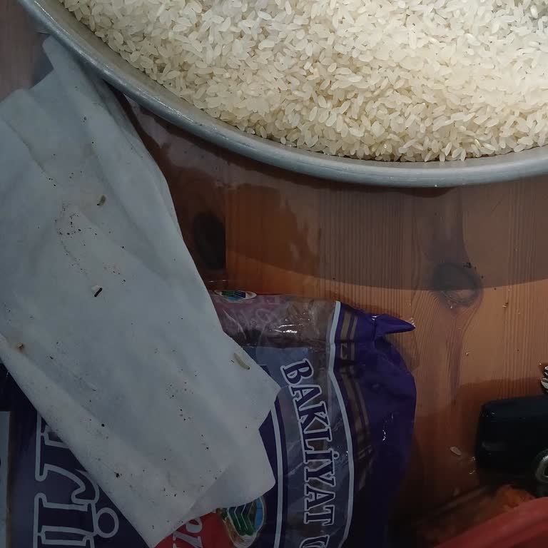 Pirinçte Kurtlanma Sorunu