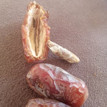 Migros'ta Kalite Krizi: Kurtlu Ve Bayat Ürün Skandalı