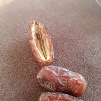 Migros'ta Kalite Krizi: Kurtlu Ve Bayat Ürün Skandalı