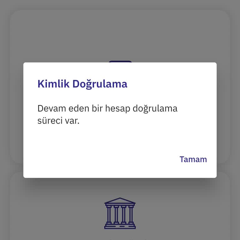Oldubil Hesap Onayı Sorunu Ve Kullanım Engeli
