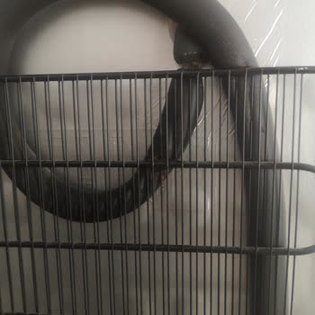 Arçelik Derin Dondurucu: Paslanma Ve Gaz Kaçırma Sorunu