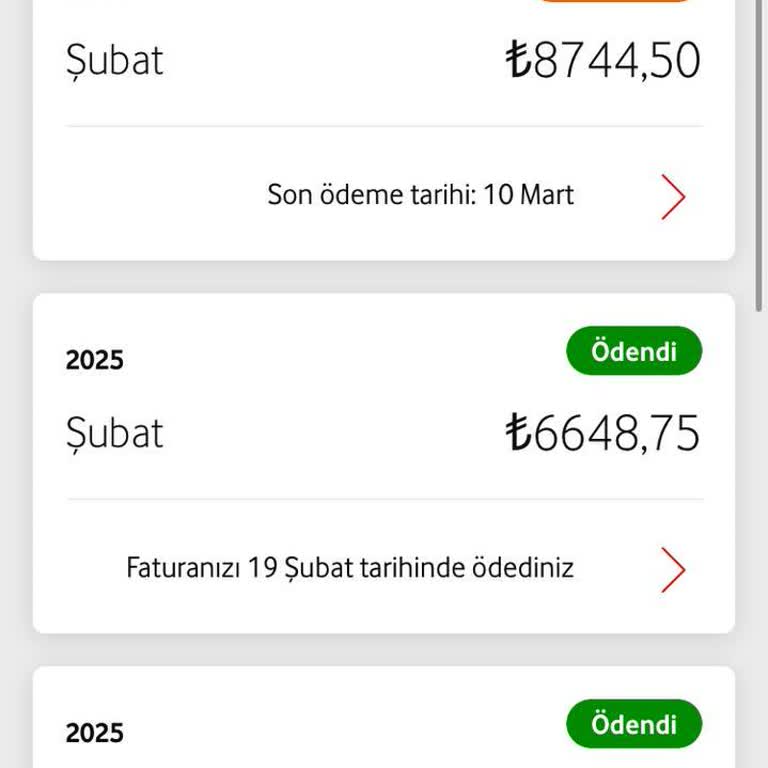 Yanlış Fatura Düzeltilemiyor