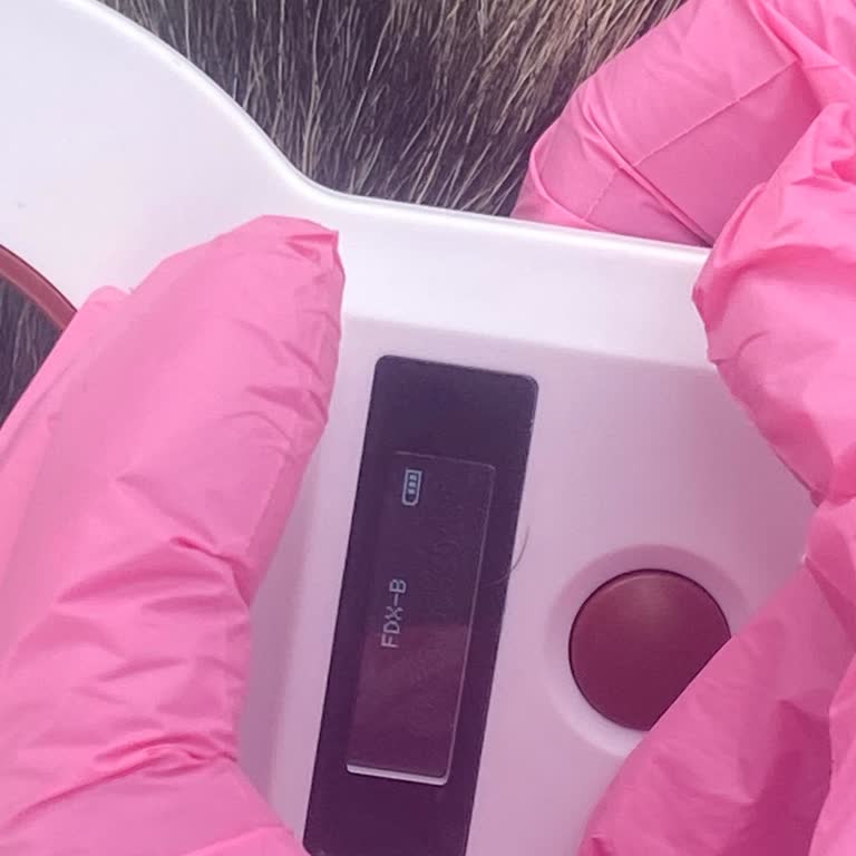 Patile Veteriner Kliniği Bana Yardımcı Olmadı