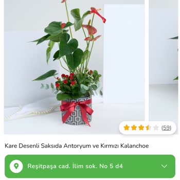 Yanıltıcı Ürün Görselleri Ve İletişimsizlik