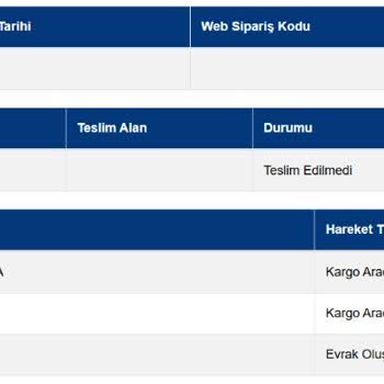 Kayıp Kargo: Teslim Edilemeyen Gönderi Sorunu