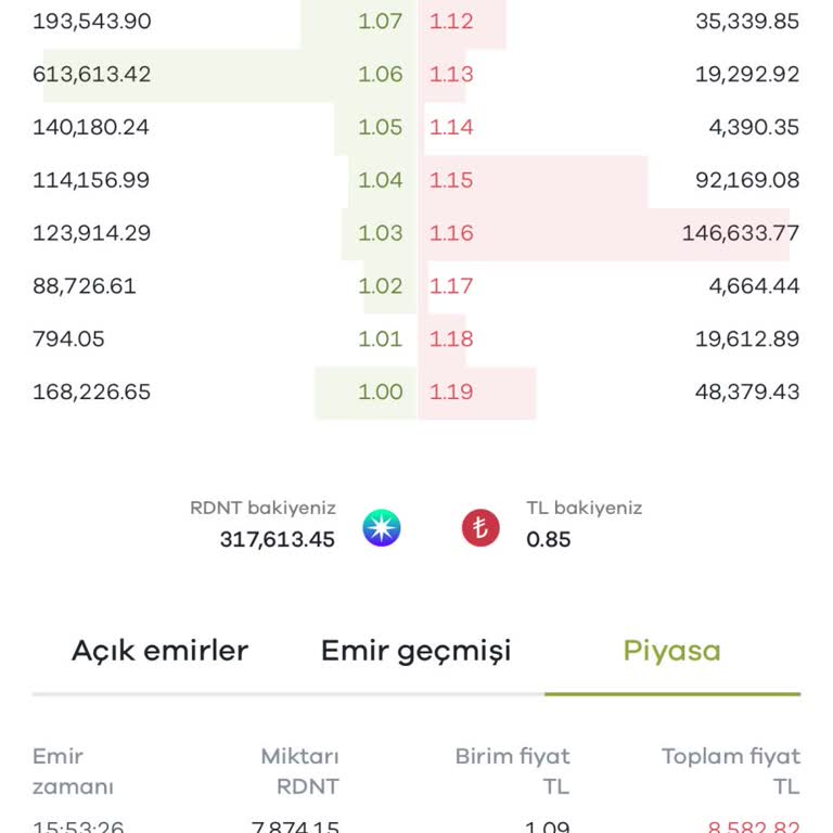 Paribu'da Donma Sorunu: İşlemler Durdu