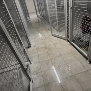 Emlak Konut Yönetiminde Liyakat Sorunu